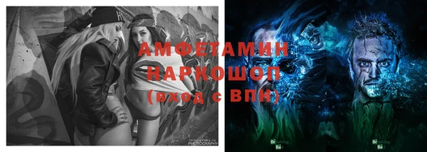 молекула духа Арсеньев