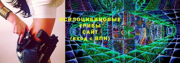 соль ск Аркадак