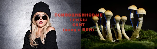 прущие крисы Армянск