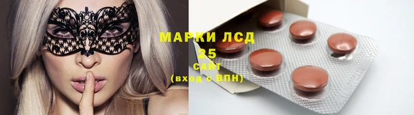 молекула духа Арсеньев