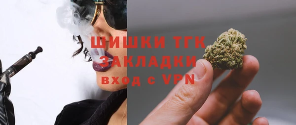 молекула духа Арсеньев