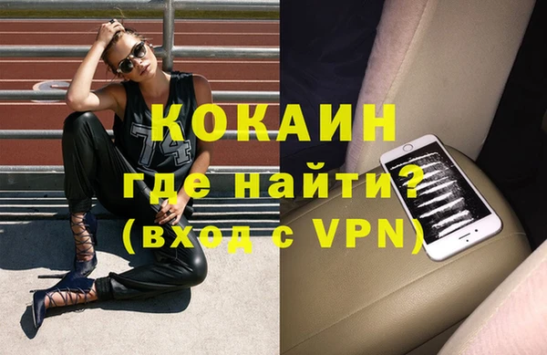 молекула духа Арсеньев