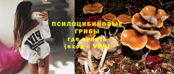 молекула духа Арсеньев