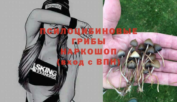 соль ск Аркадак