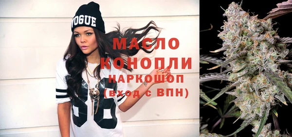 молекула духа Арсеньев