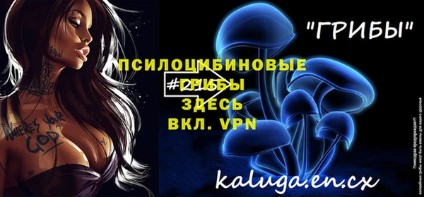 прущие крисы Армянск