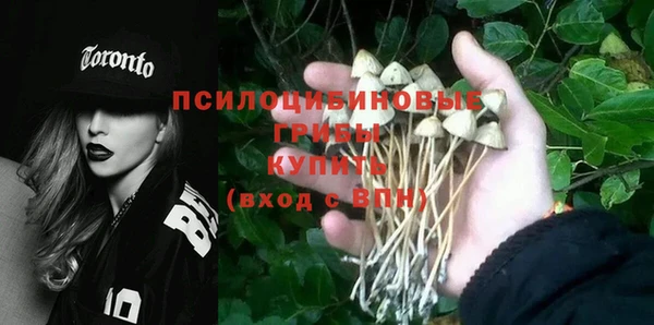 прущие крисы Армянск