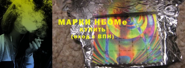 молекула духа Арсеньев