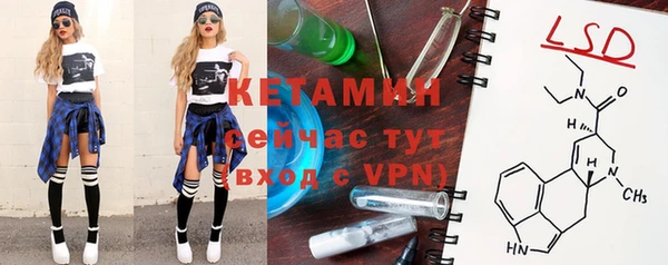 молекула духа Арсеньев